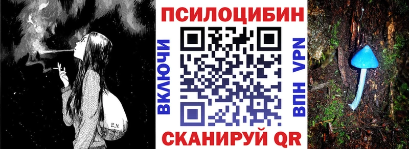 как найти наркотики  Черняховск  blacksprut рабочий сайт  Галлюциногенные грибы Psilocybe 