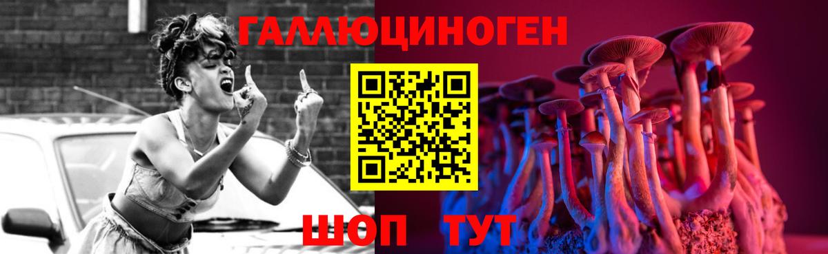 Псилоцибиновые грибы Cubensis Черняховск