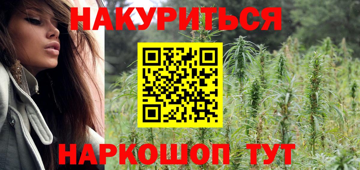 МАРИХУАНА семена Черняховск
